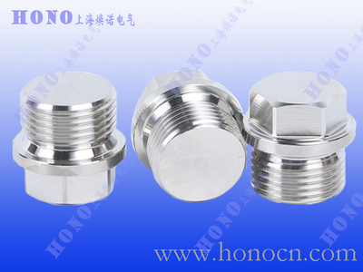 外六角带边不锈钢堵头