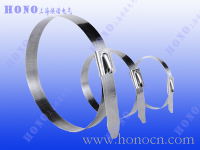 4.6x自锁式不锈钢扎带